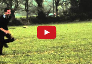 Click to PLAY Video Video - Click to PLAY